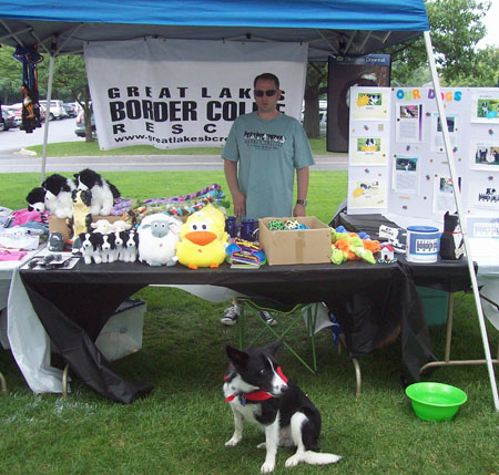 This is me being an awesome Ambassador Dog at the GLBCR booth.